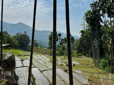 Sanka Tuk Tuk Tours & Taxi Service-埃勒必去景点