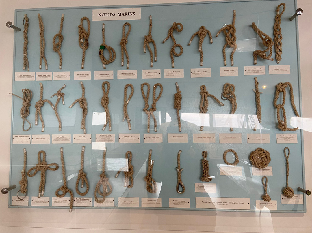 Musée de la Mer-赛特必去景点