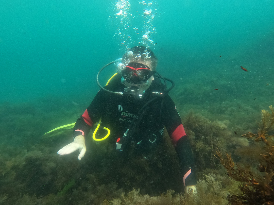 Sub Diving-索佐波尔必去景点