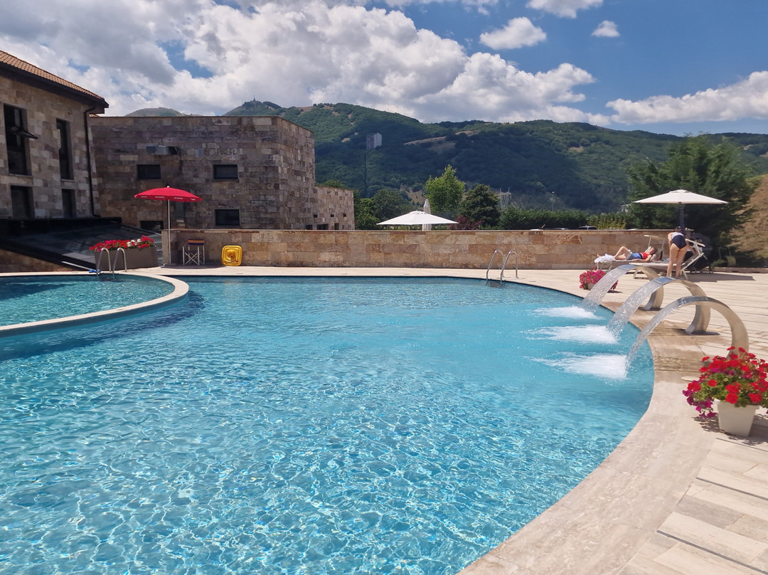 Aqua Montis Resort & Spa主图