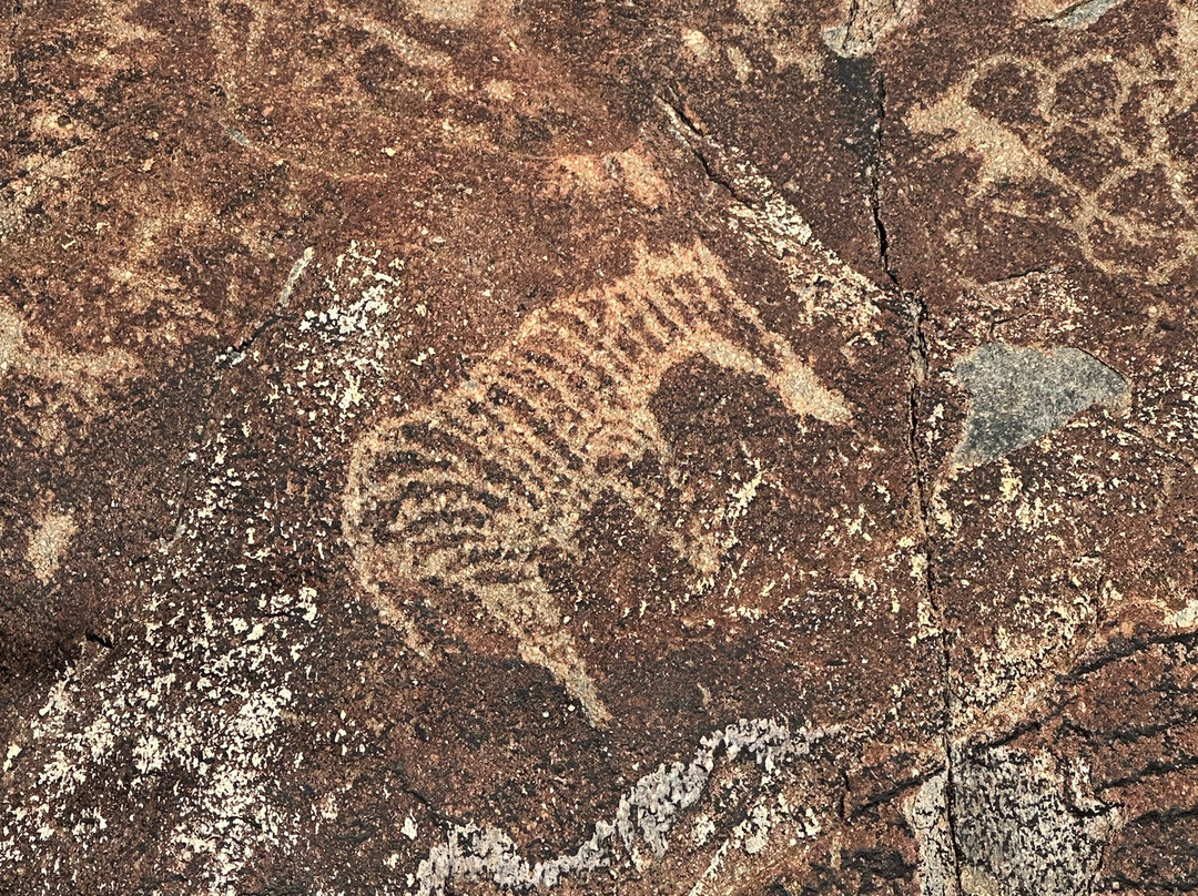 Rock Engravings at Peet Alberts Koppie-Kamanjab必去景点