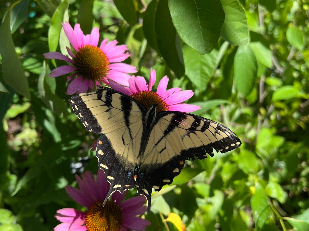 Cape Cod Museum of Natural History-Brewster必去景点