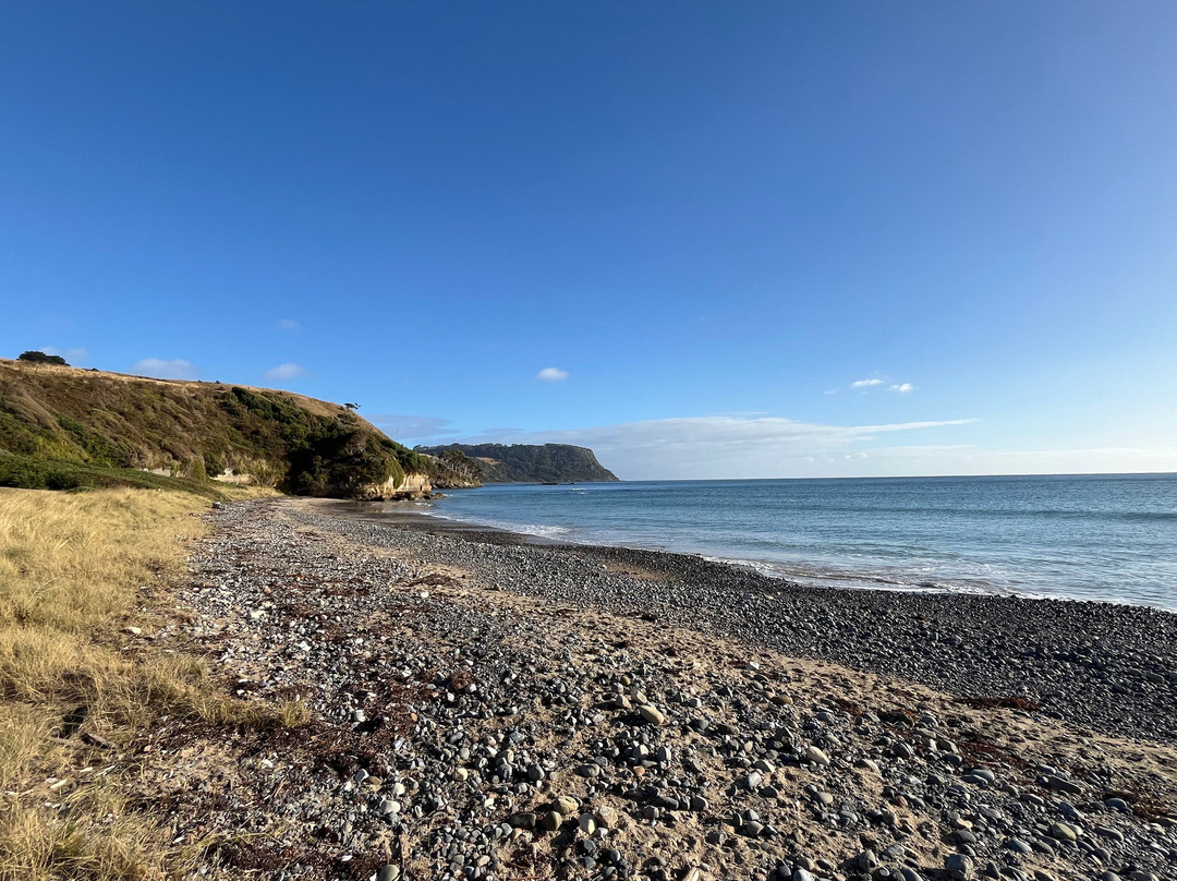 Fossil Bluff Lookout-温耶德必去景点