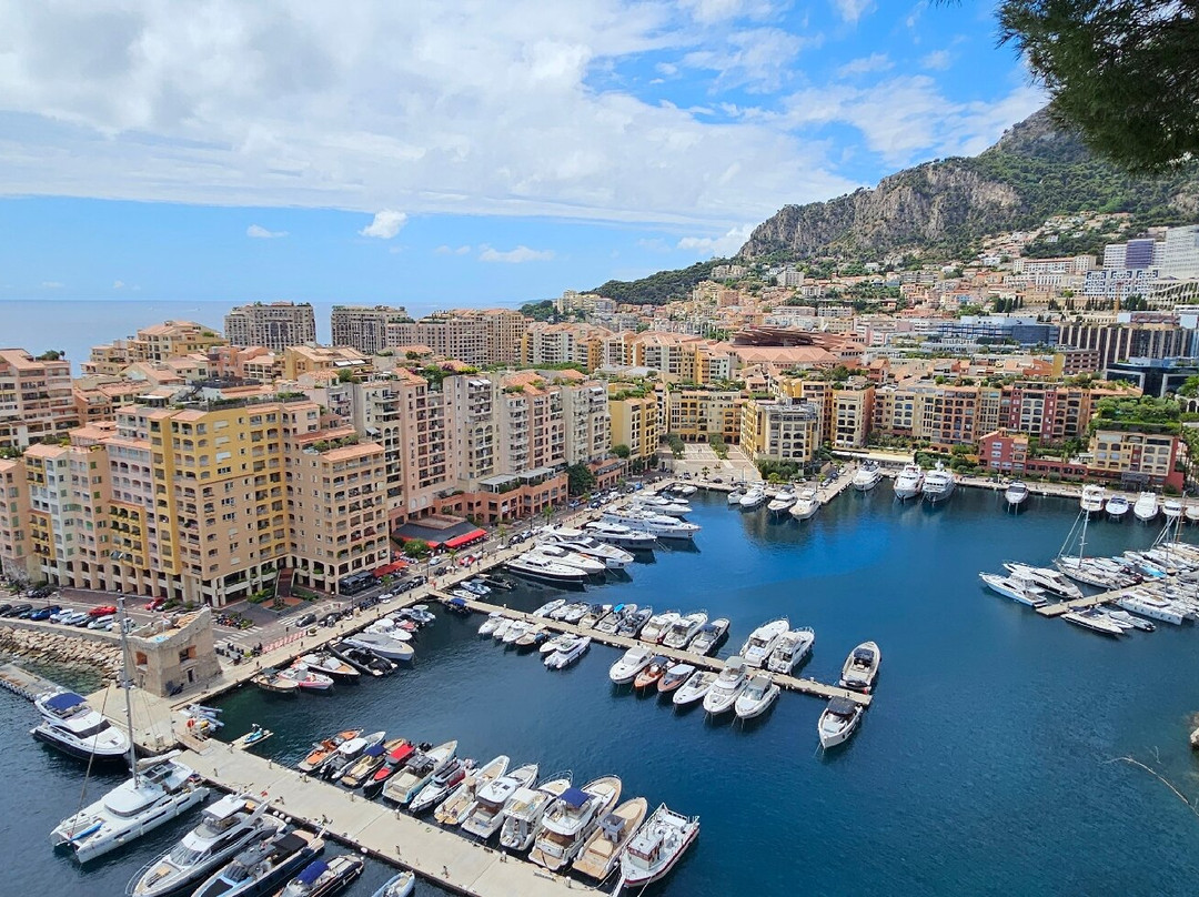 Palais Princier de Monaco-摩纳哥城必去景点