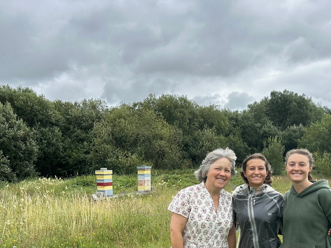 Rigney's Farmhouse Bed & Breakfast主图