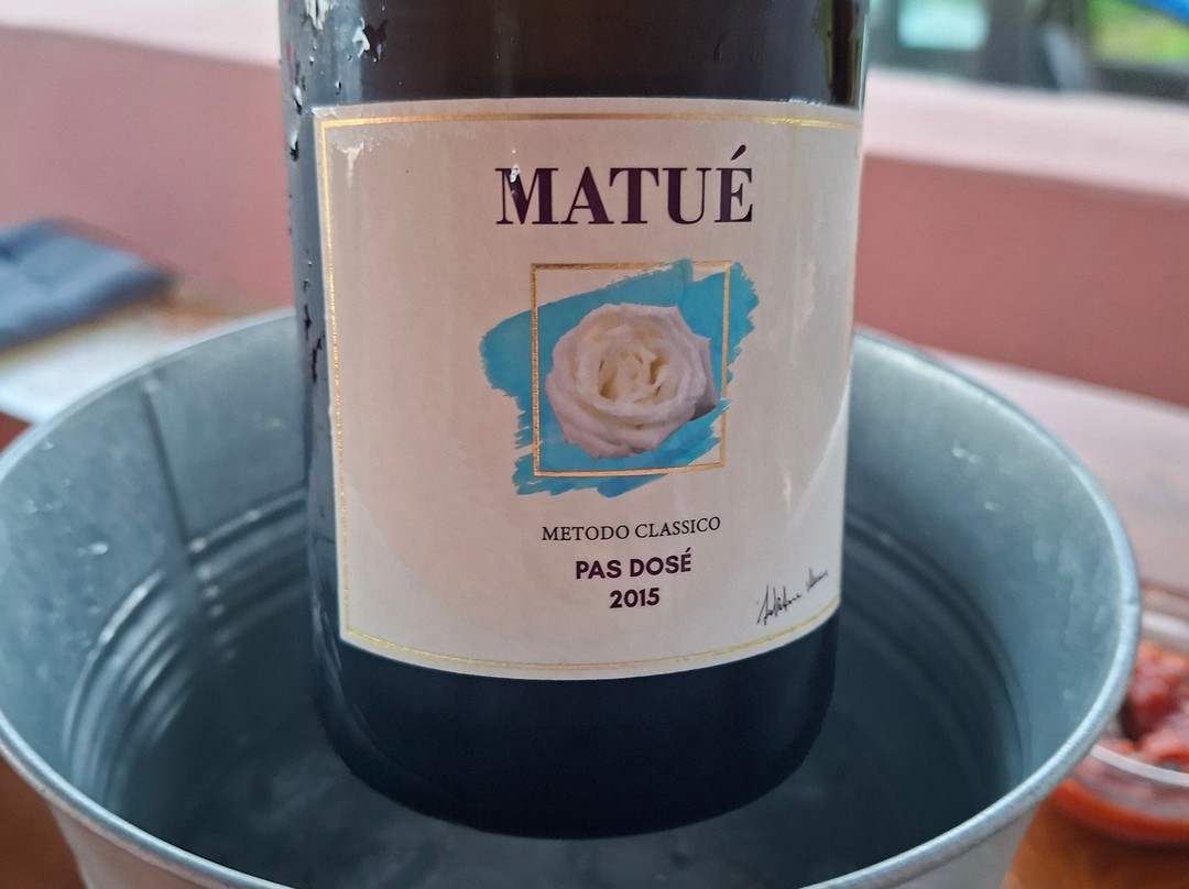 Cantina Mueggen di Salvatore Murana-潘泰莱里亚必去景点