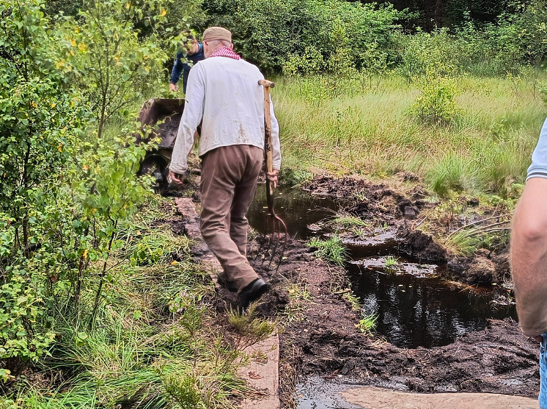 Frilandsmuseet Hjerl Hede-Sahl必去景点