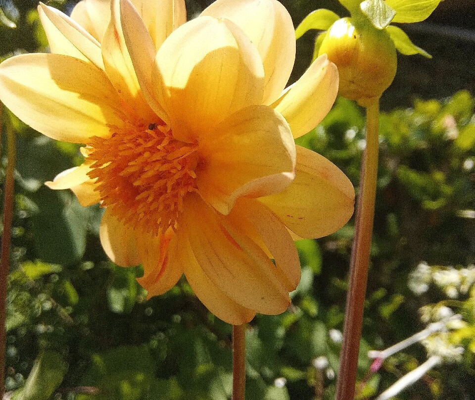 Il Giardino Di Monfestino-Serramazzoni必去景点