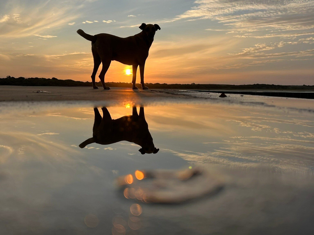 No Food for Lazy Man Transport-托佛必去景点