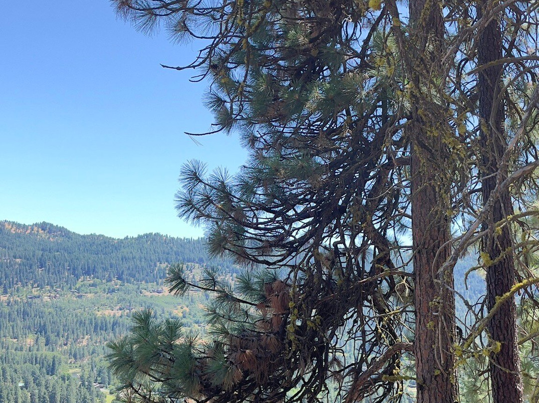 Icicle Ridge Trail-莱文沃思必去景点