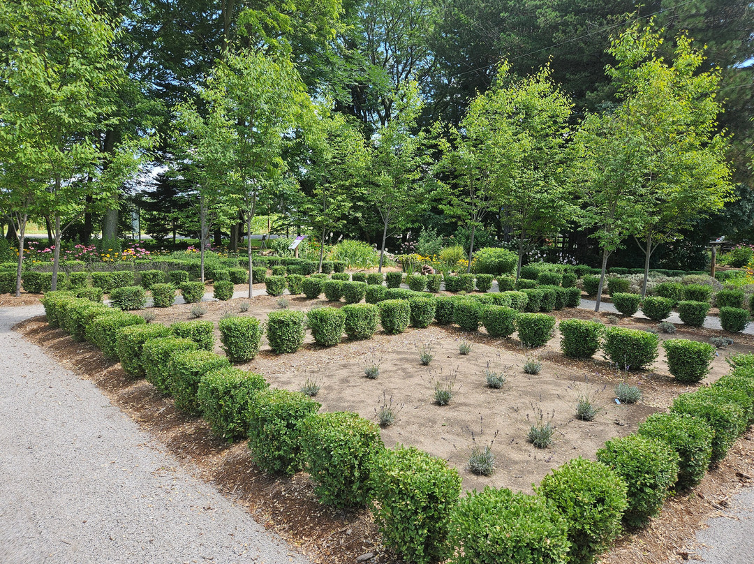 Sparta Lavender Farm-Sparta必去景点