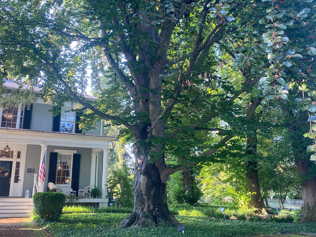 Carriage Inn Bed and Breakfast主图