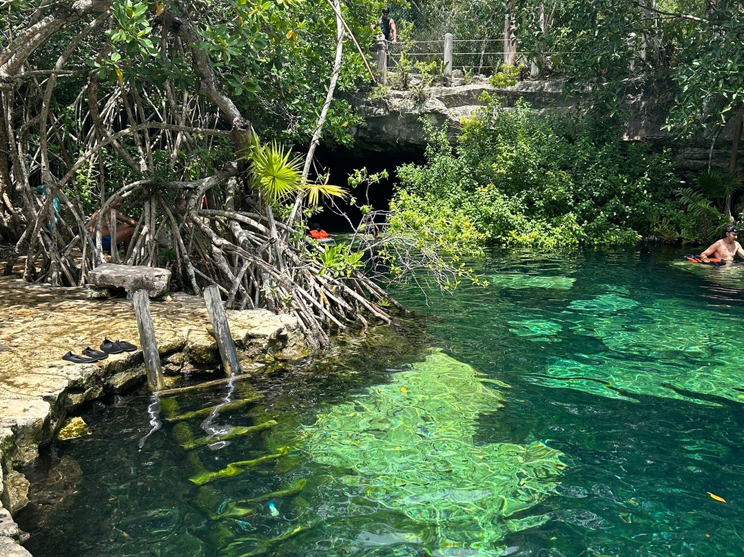 Cenote Cristalino-普拉亚德尔卡曼必去景点