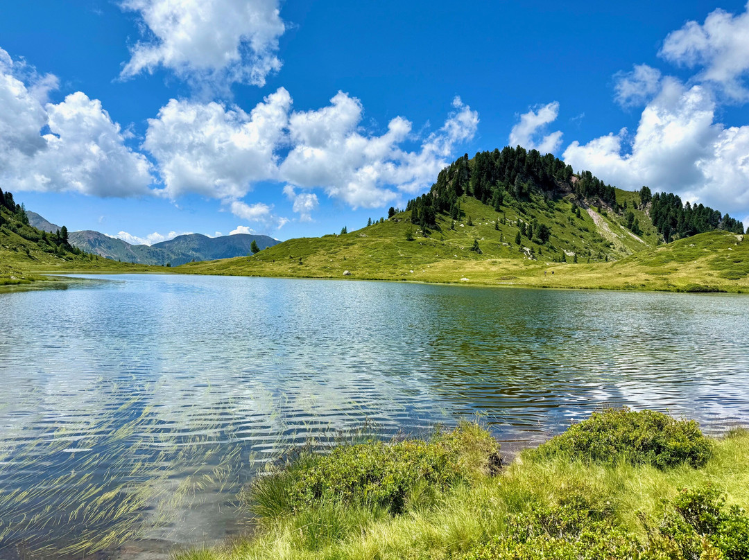 Albergo La Ruscoletta主图