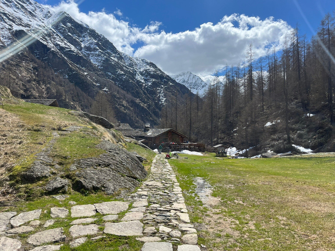 Mirtillo Rosso Ristorante