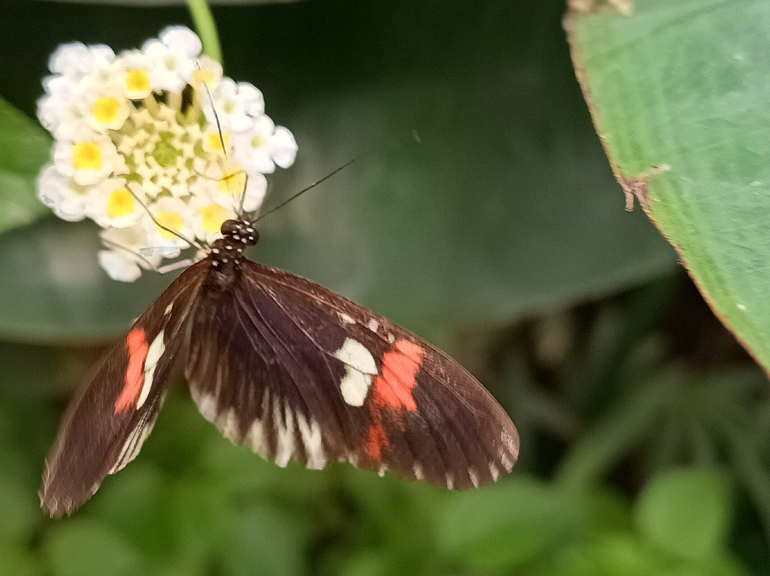 Portsmouth Natural History Museum-普兹茅斯必去景点
