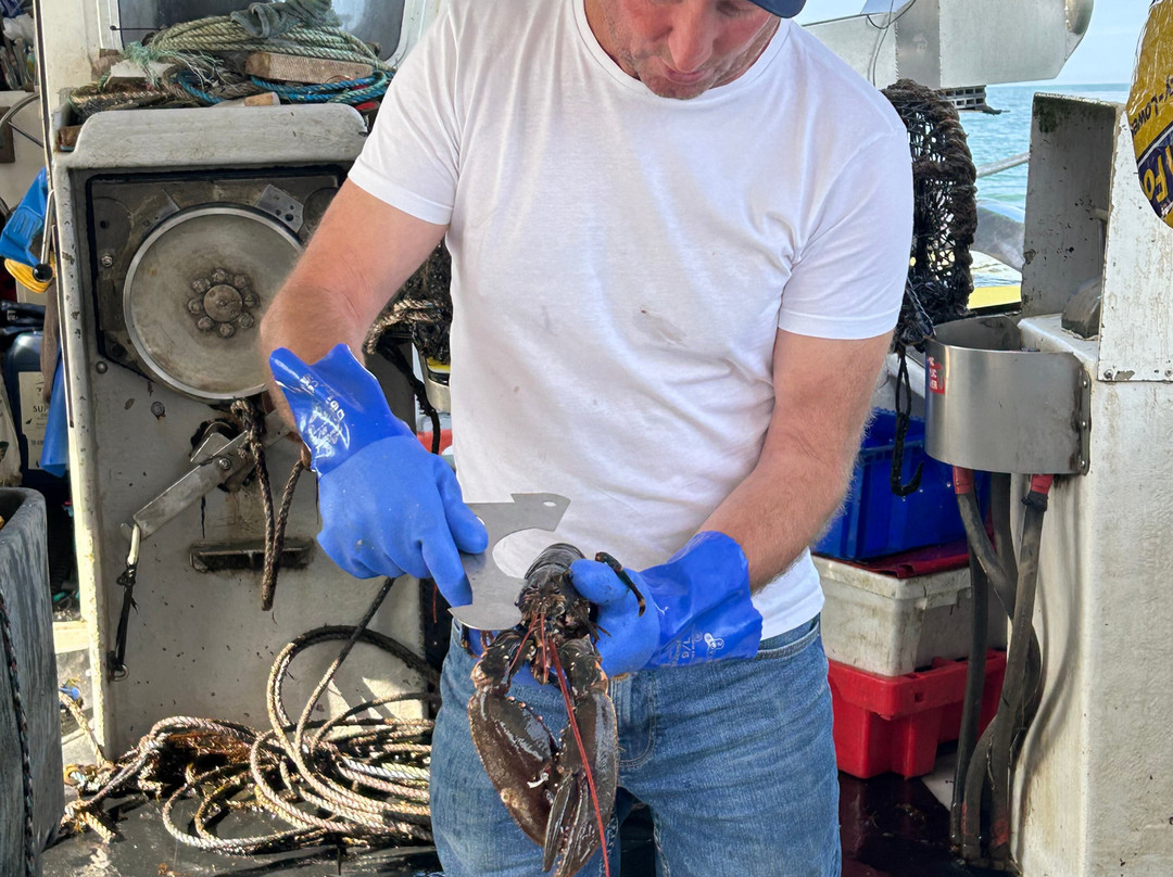 Amble boat trips-Amble必去景点