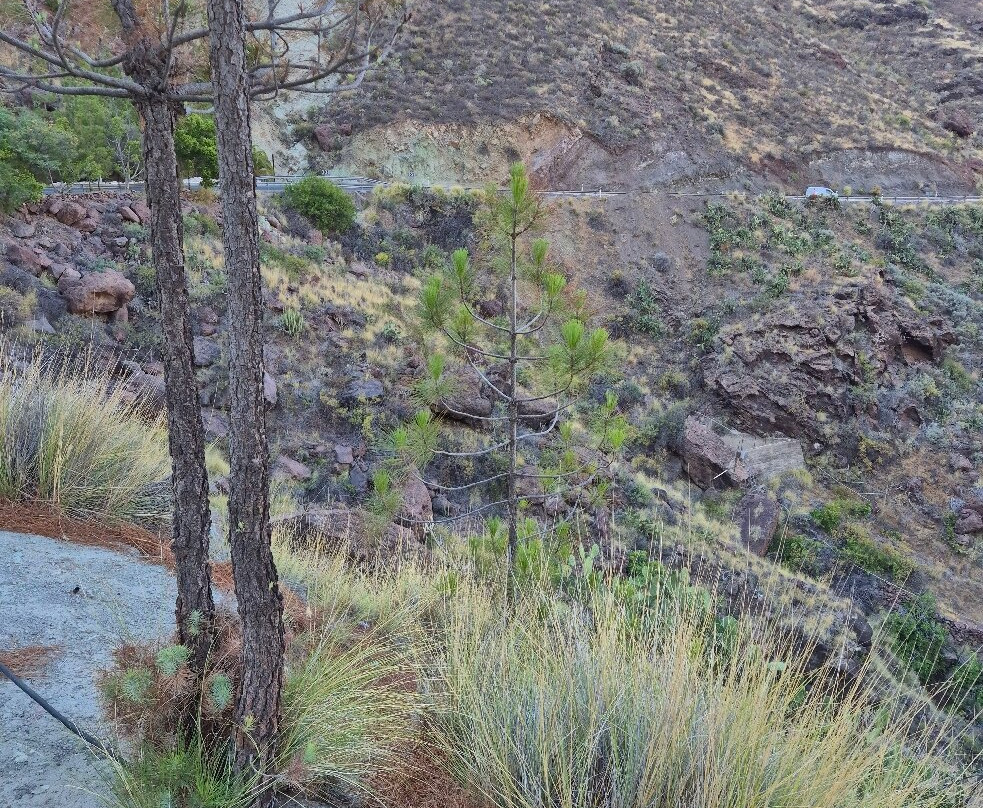 Los Azulejos de Veneguera-莫干山必去景点