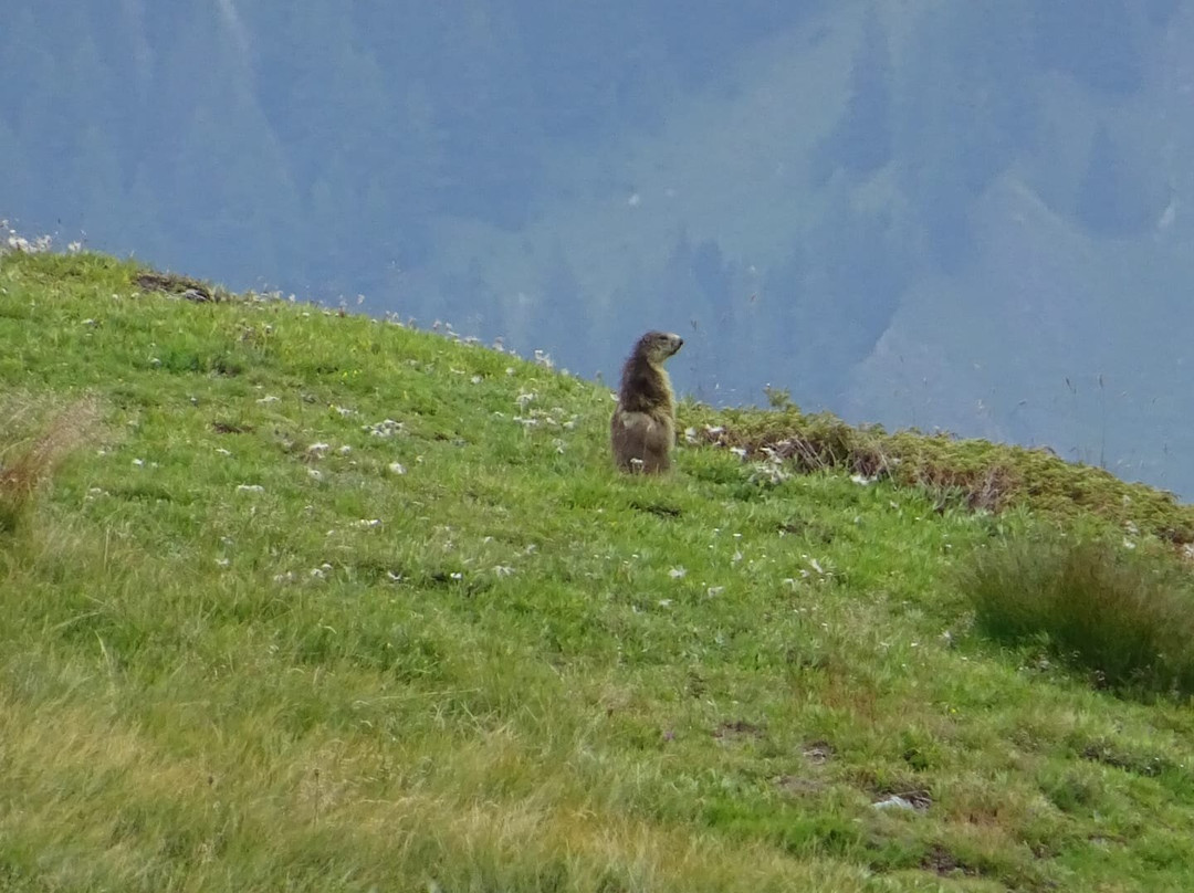 Volta Montana-邦特韦德拉必去景点