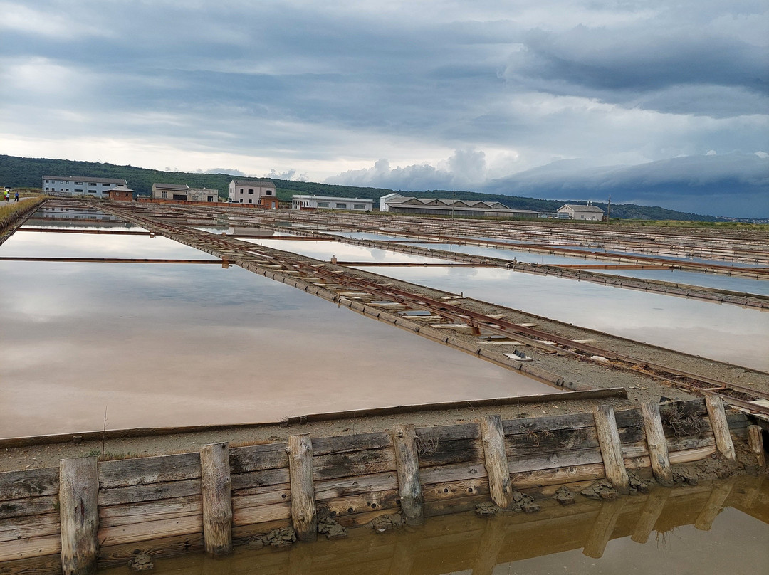 Secovlje Salina Nature Park-Seca必去景点