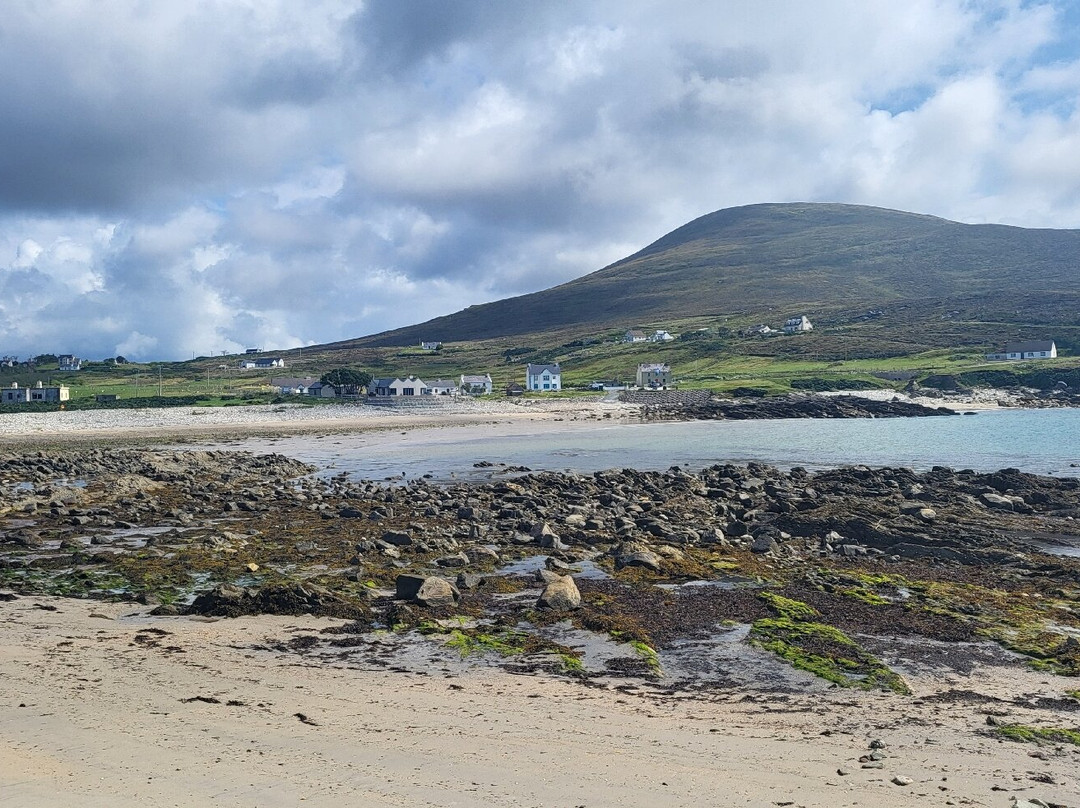 Joyce's Marian Villa Guesthouse主图