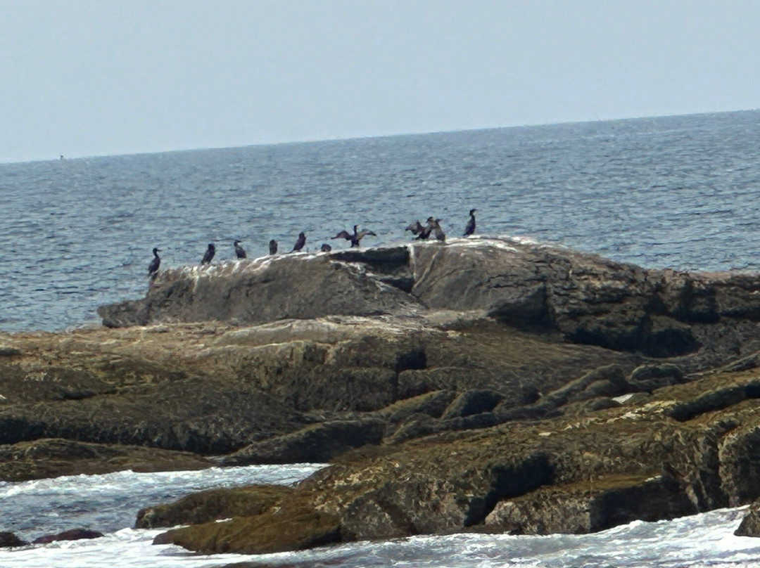 Cap'n Fish's Cruises-布斯贝港必去景点