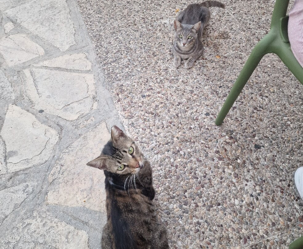 Albatross Apartments主图