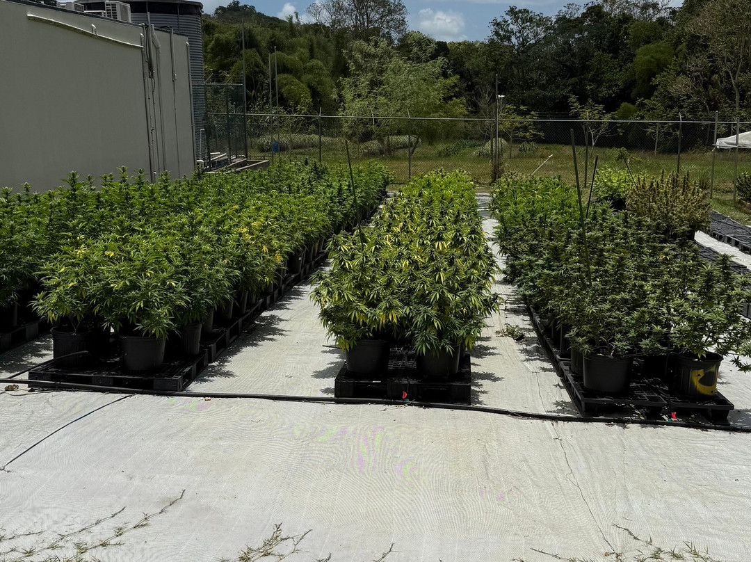 Jacana Farm Tours-奥乔里奥斯必去景点