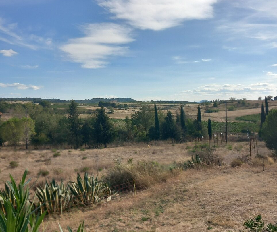 Chateau La Sabine主图