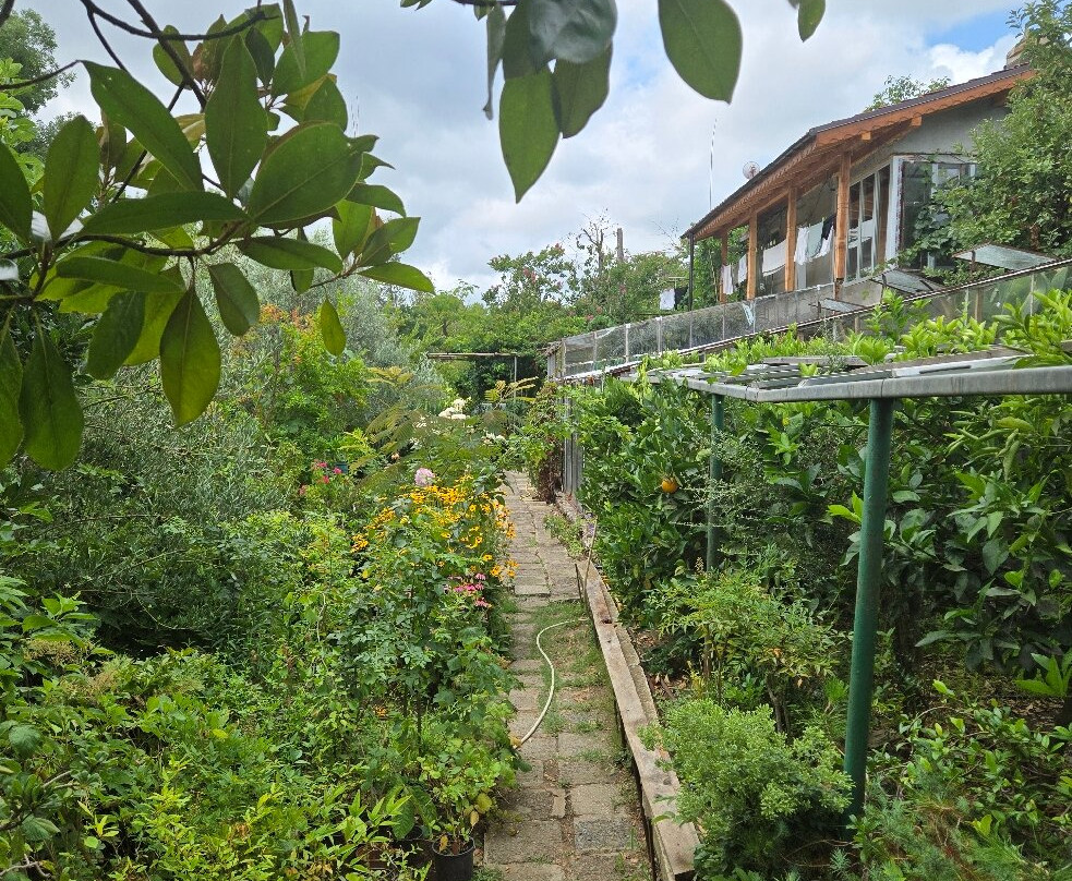 Botanical Garden Serafimovi-Velika必去景点