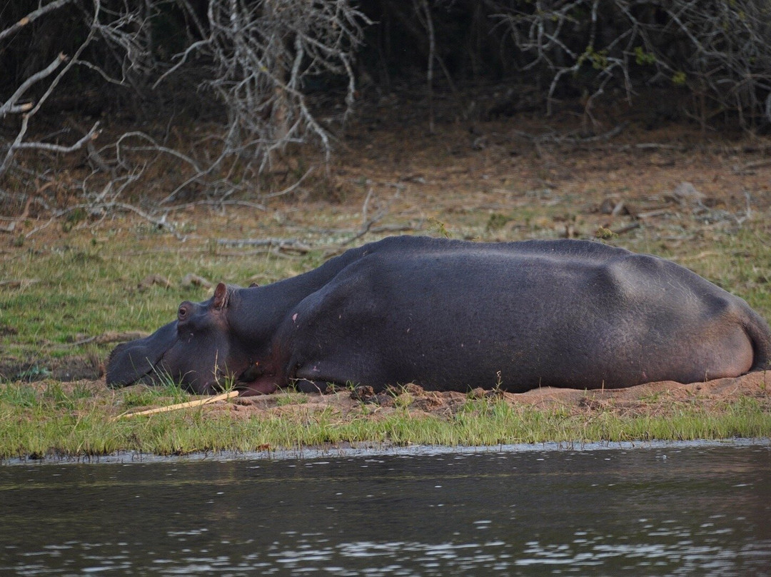 Serenity adventure safaris-吉佳利必去景点