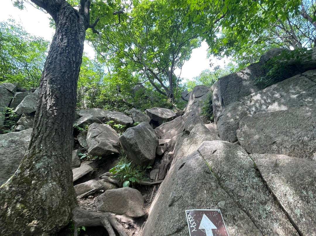 Centre de la Nature du Mont Saint-Hilaire-Mont-Saint-Hilaire必去景点