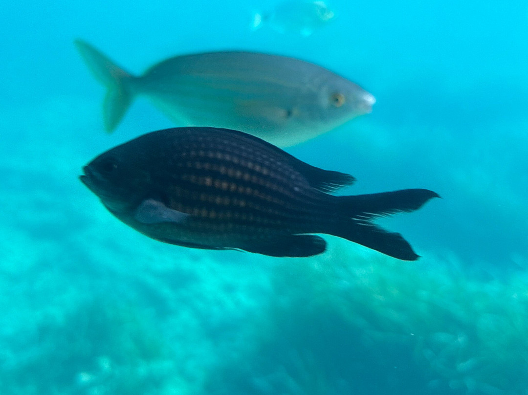 AQUAVISION-Six-Fours-les-Plages必去景点