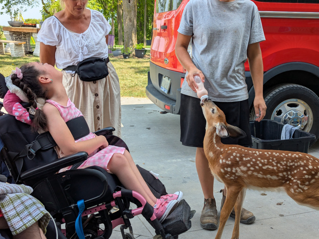 Jireh Hills Family Homestead-Alvinston必去景点