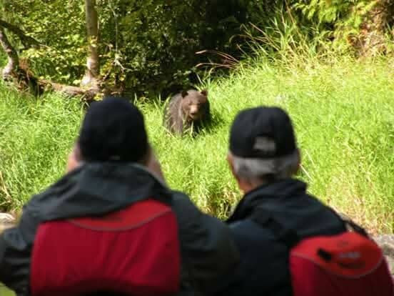 Kynoch Adventures-Bella Coola必去景点