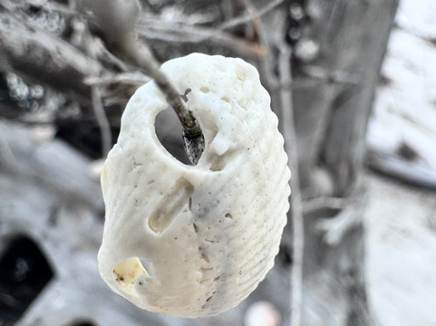 Crysten’s AMI Boat Tours-Holmes Beach必去景点