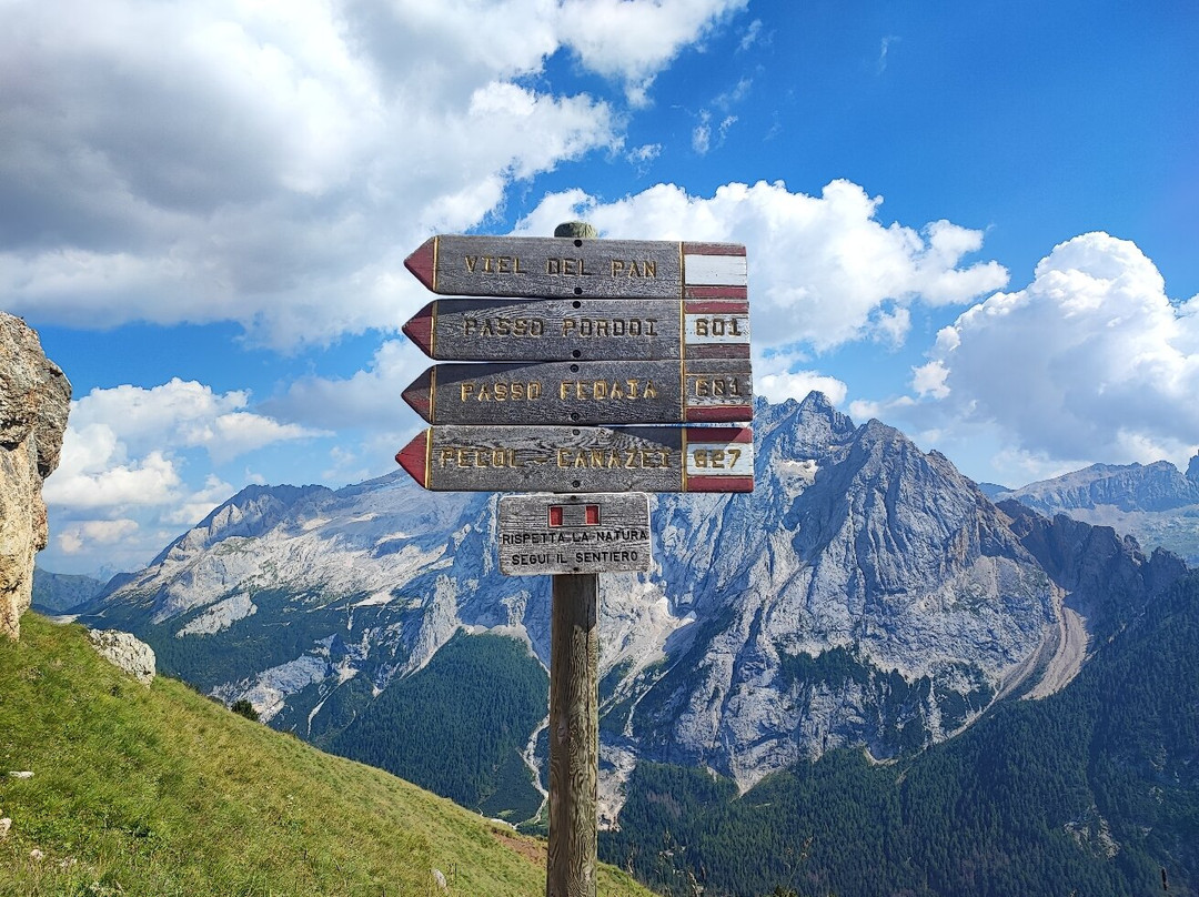 Funivia Pecol - Col dei Rossi-卡纳泽伊必去景点