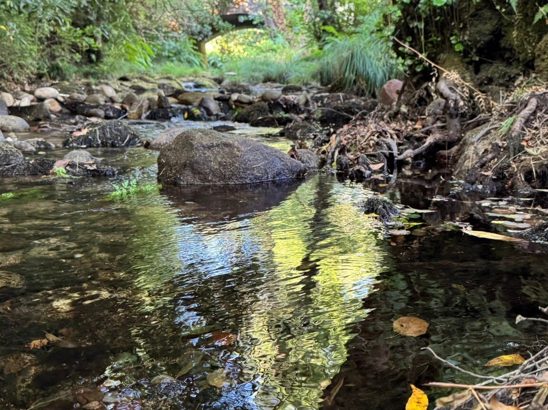 Aldea Os Muinos主图