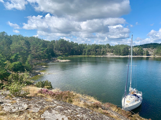 True Nature Sweden-斯德哥尔摩必去景点