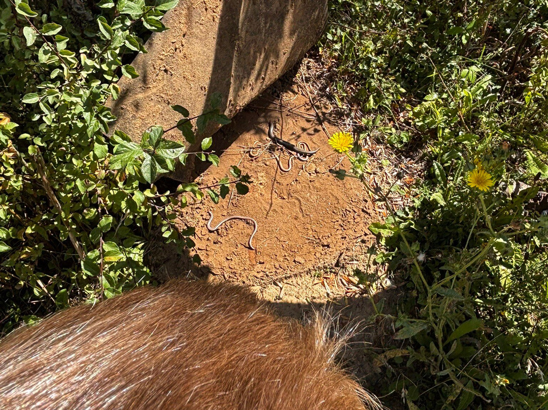 Singleton Environment Centre-阿什福德必去景点