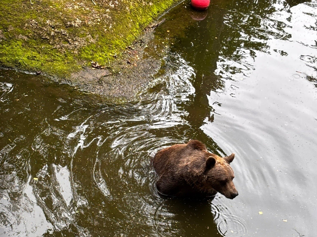 Wildwood Trust-Herne Bay必去景点