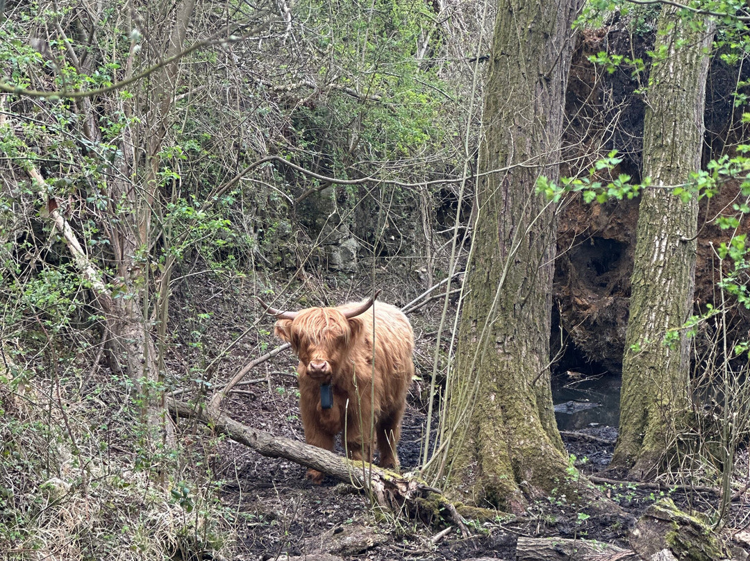 Twywell Hills and Dales-凯特林必去景点