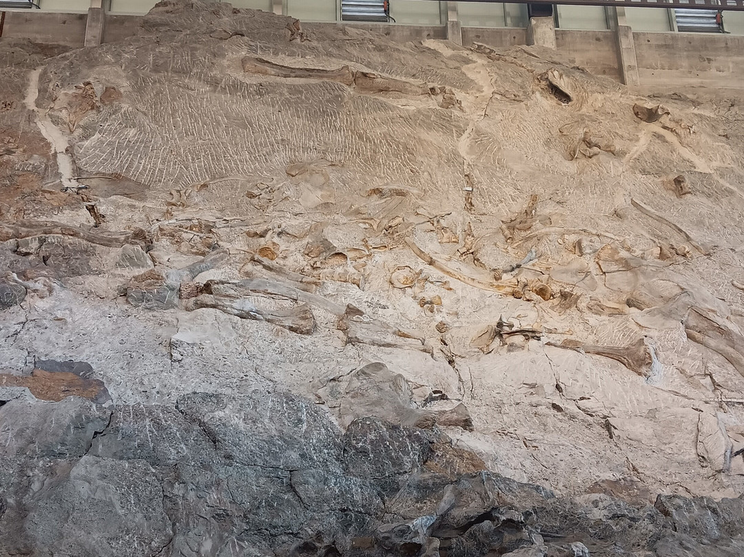 Dinosaur National Monument-Jensen必去景点