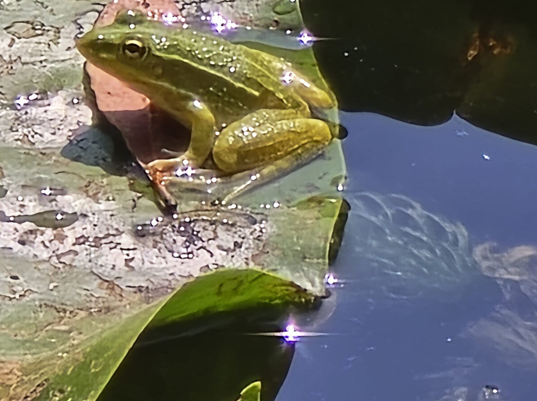 Latour-Marliac-Le Temple-sur-Lot必去景点