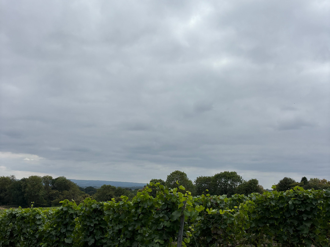 Greyfriars Vineyard-Puttenham必去景点