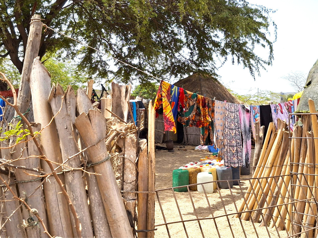 Excursions Départ Hôtel Riu Baobab-Ponto必去景点