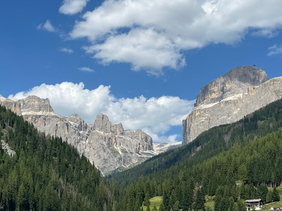 Club Hotel Regina e Fassa主图