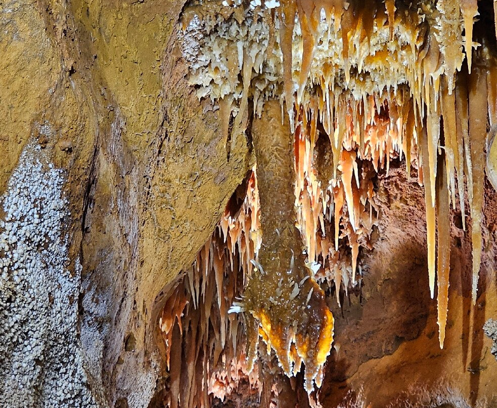 La grotte de Maxange-Le Buisson-de-Cadouin必去景点