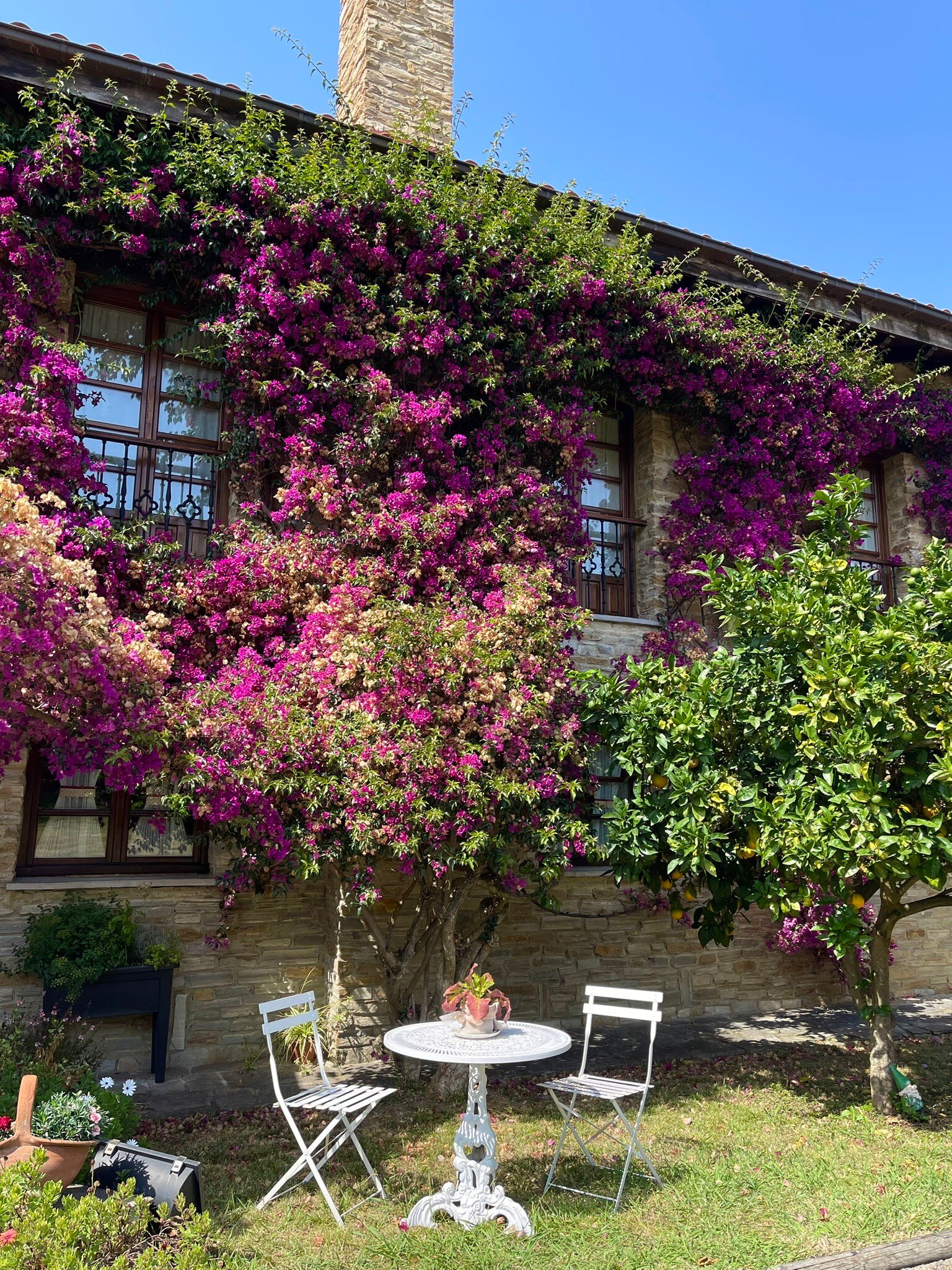 Casona de Cefontes-官方