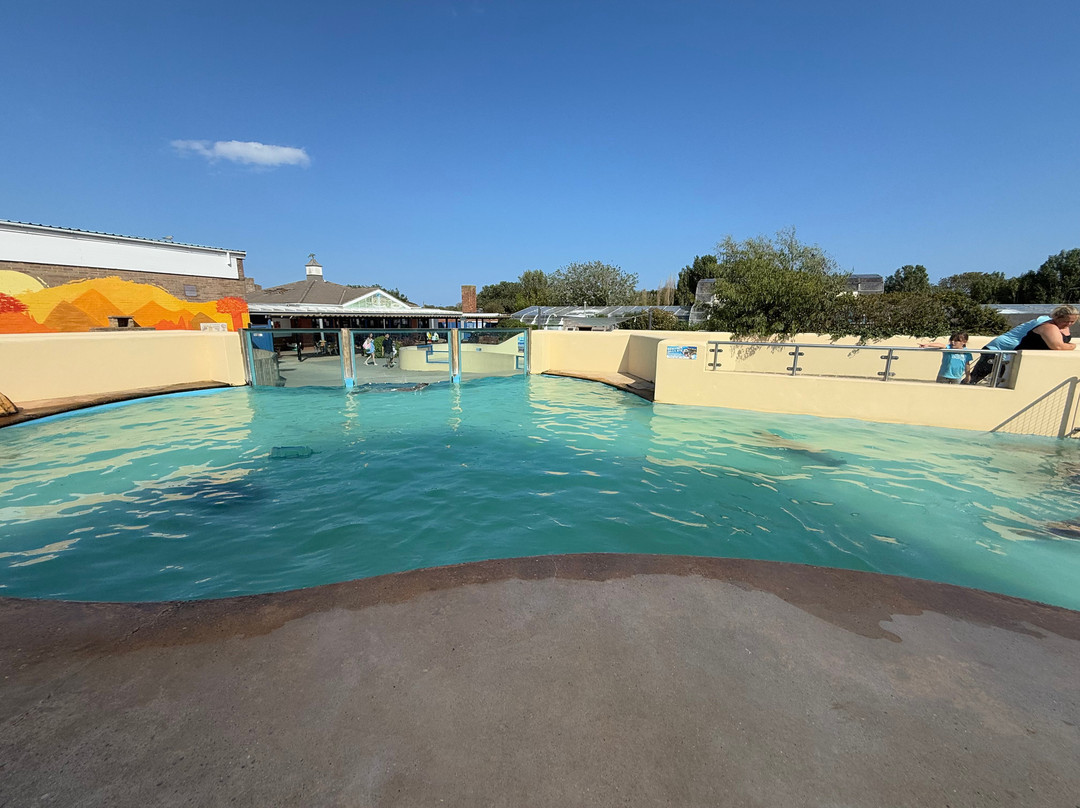 Natureland Seal Sanctuary-斯凯格内斯必去景点